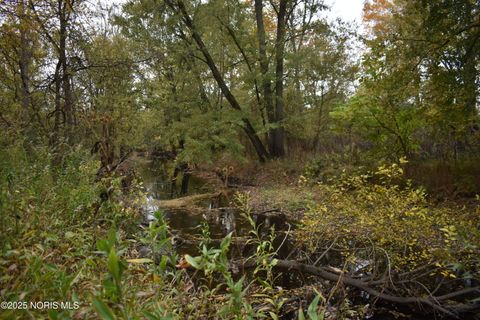 Tiny photo for 9340 Stitt Road, Whitehouse, OH 43571 (MLS # 10000693)