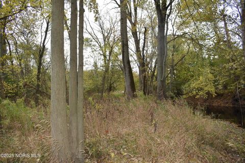 Tiny photo for 9340 Stitt Road, Whitehouse, OH 43571 (MLS # 10000693)