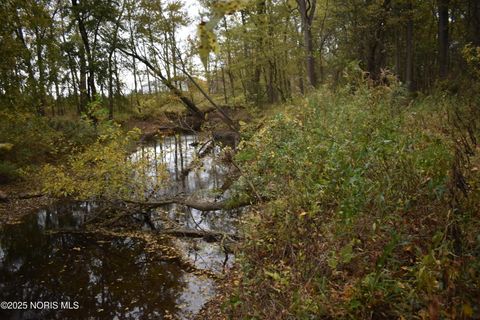 Tiny photo for 9340 Stitt Road, Whitehouse, OH 43571 (MLS # 10000693)