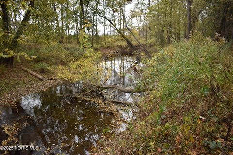 Tiny photo for 9340 Stitt Road, Whitehouse, OH 43571 (MLS # 10000693)