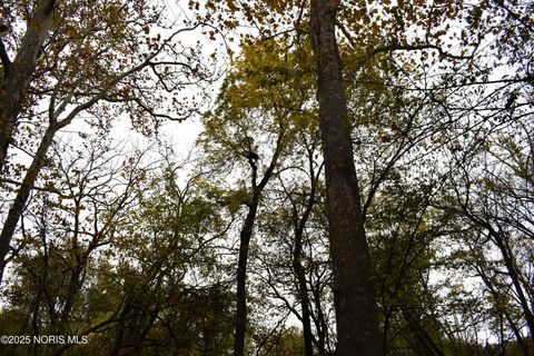 Tiny photo for 9340 Stitt Road, Whitehouse, OH 43571 (MLS # 10000693)