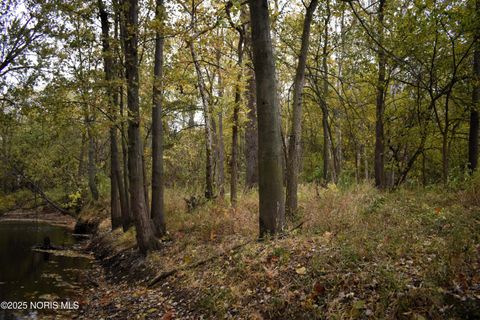 Tiny photo for 9340 Stitt Road, Whitehouse, OH 43571 (MLS # 10000693)