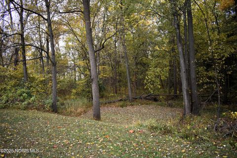 Tiny photo for 9340 Stitt Road, Whitehouse, OH 43571 (MLS # 10000693)