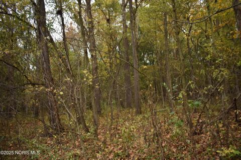 Tiny photo for 9340 Stitt Road, Whitehouse, OH 43571 (MLS # 10000693)