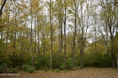 Tiny photo for 9340 Stitt Road, Whitehouse, OH 43571 (MLS # 10000693)