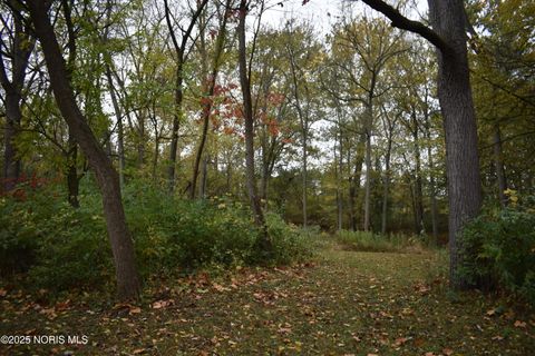 Tiny photo for 9340 Stitt Road, Whitehouse, OH 43571 (MLS # 10000693)