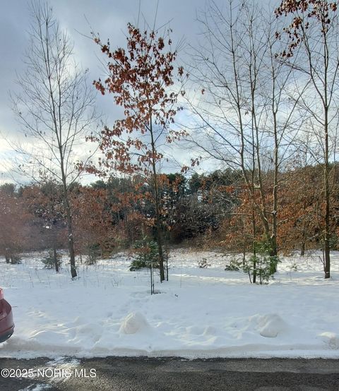 Photo of 5050 Manore Road, Swanton, OH 43558 (MLS # 10002123)