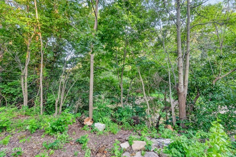 Tiny photo for 1040 E 2nd Street, Ottawa, OH 45875 (MLS # 10014014)