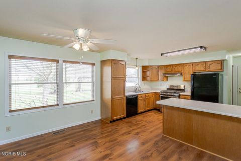 Tiny photo for 305 G Street, Pandora, OH 45877 (MLS # 10005630)
