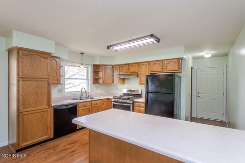 Tiny photo for 305 G Street, Pandora, OH 45877 (MLS # 10005630)