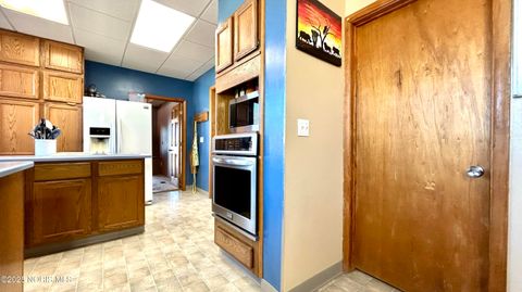 Tiny photo for 516 N Williams Street, Paulding, OH 45879 (MLS # 10001552)