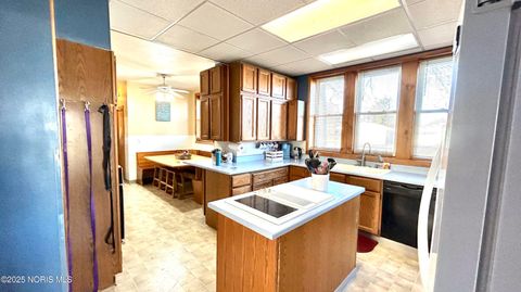 Tiny photo for 516 N Williams Street, Paulding, OH 45879 (MLS # 10001552)