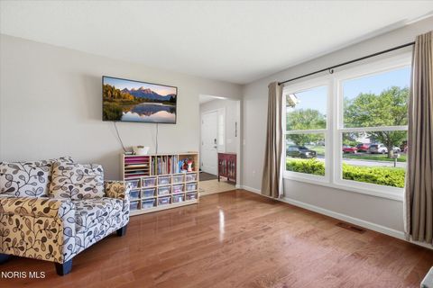 Tiny photo for 7063 Wexford Hill Lane, Holland, OH 43528 (MLS # 10008239)