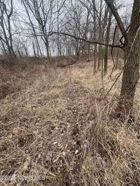 Tiny photo for Us Highway 20a, Montpelier, OH 43543 (MLS # 10003425)