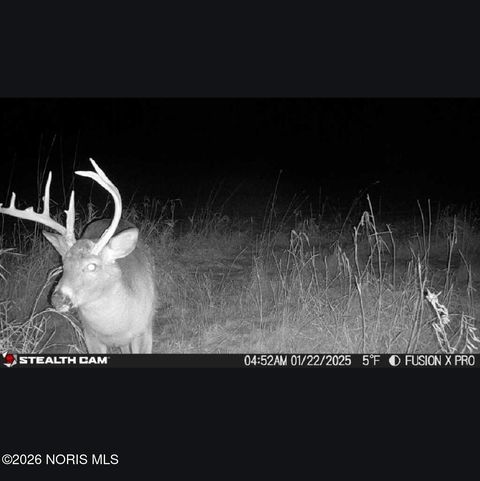 Tiny photo for Us Highway 20a, Montpelier, OH 43543 (MLS # 10003425)