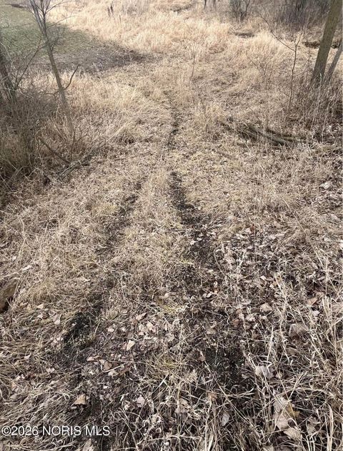 Tiny photo for Us Highway 20a, Montpelier, OH 43543 (MLS # 10003425)