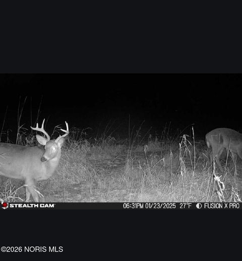 Tiny photo for Us Highway 20a, Montpelier, OH 43543 (MLS # 10003425)