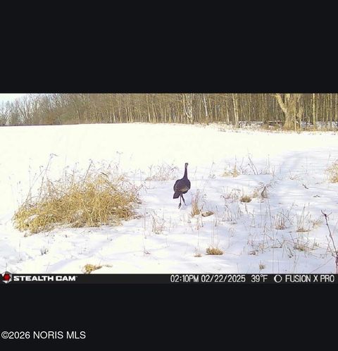 Tiny photo for Us Highway 20a, Montpelier, OH 43543 (MLS # 10003425)