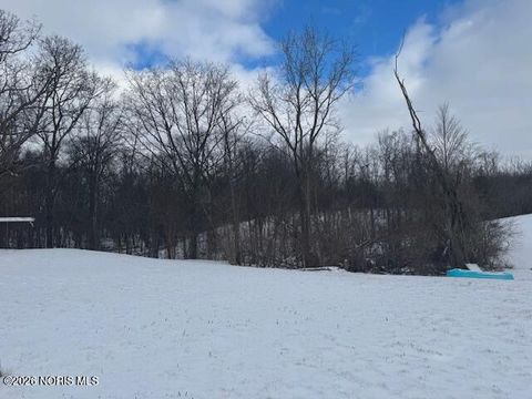 Tiny photo for 1390 22-60 Road, Stryker, OH 43557 (MLS # 10002716)