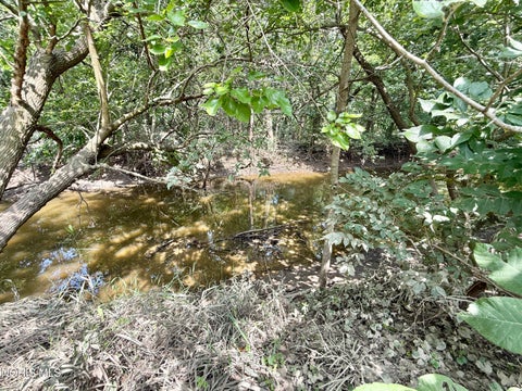 Tiny photo for 22689 W Oh-579, Curtice, OH 43412 (MLS # 10013023)