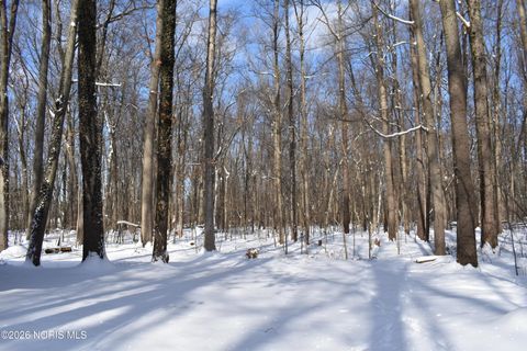 Tiny photo for 10122 Ramm Road, Monclova, OH 43542 (MLS # 10004028)