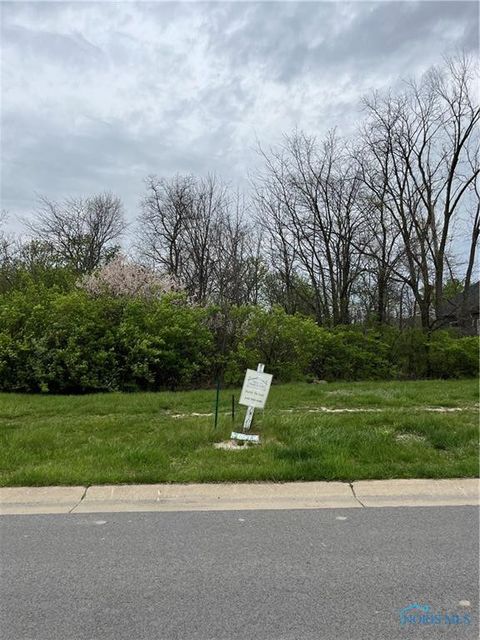 Tiny photo for 15672 River View Place, Perrysburg, OH 43551 (MLS # 10002225)