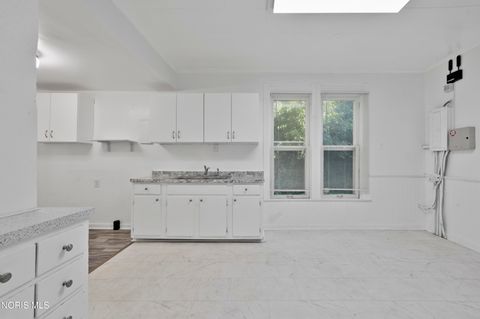 Tiny photo for 245 E Delaware Avenue, Toledo, OH 43608 (MLS # 10008526)