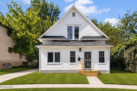 Photo of 245 E Delaware Avenue, Toledo, OH 43608 (MLS # 10008526)
