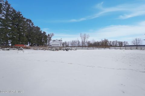 Tiny photo for 11665 County Road 14, Wauseon, OH 43567 (MLS # 10003358)