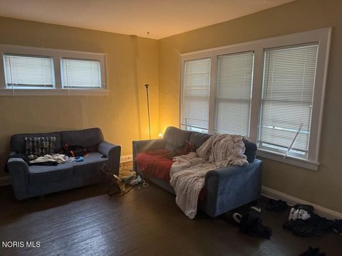 Tiny photo for 815 Woodward Avenue, Toledo, OH 43608 (MLS # 10007430)