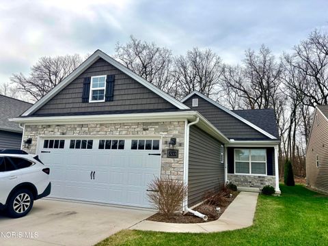 Photo of 7233 Turncreek Drive, Toledo, OH 43615 (MLS # 10005520)
