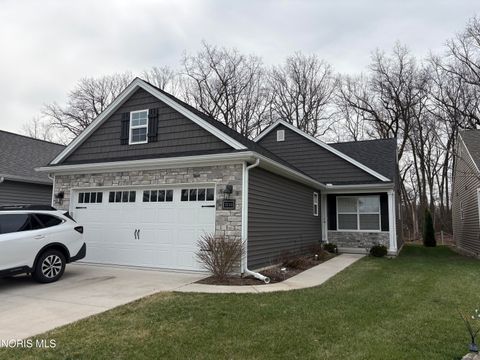 Photo of 7233 Turncreek Drive, Toledo, OH 43615 (MLS # 10005520)