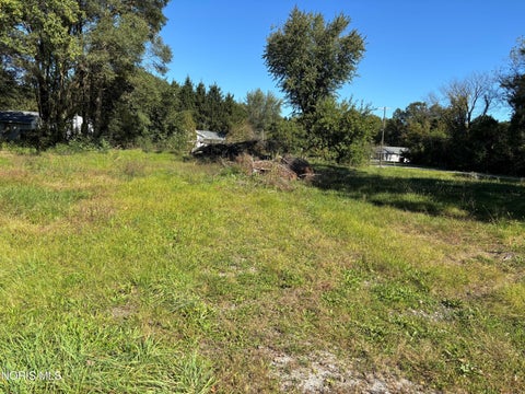 Photo of 1520 County Road D, Swanton, OH 43558 (MLS # 10014368)