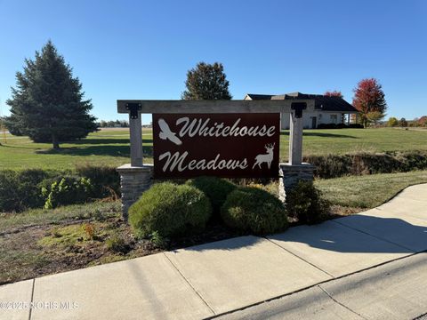 Tiny photo for 7002 Red Stag Court, Whitehouse, OH 43571 (MLS # 10000465)
