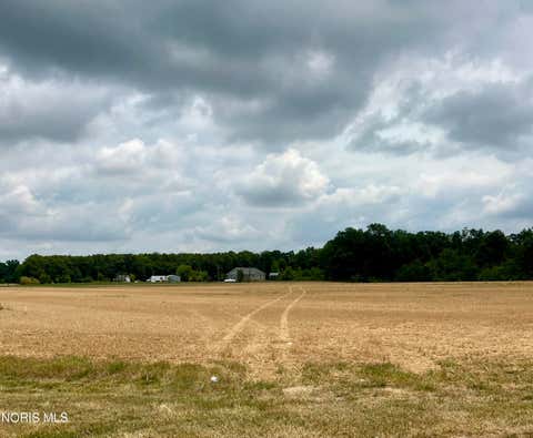 Tiny photo for County Road 424, Defiance, OH 43512 (MLS # 10011055)