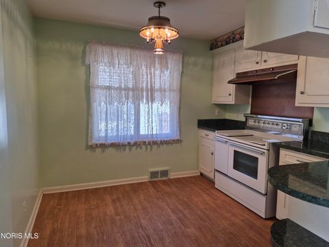 Tiny photo for 317 Burger Street, Toledo, OH 43605 (MLS # 10004965)