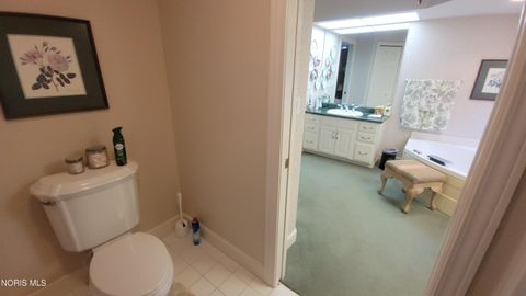 Tiny photo for 250 State Route 300, Gibsonburg, OH 43431 (MLS # 10007491)