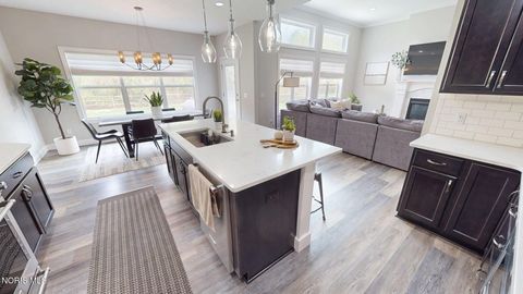 Tiny photo for 8320 Sycamore Woods Lane, Holland, OH 43528 (MLS # 10006963)