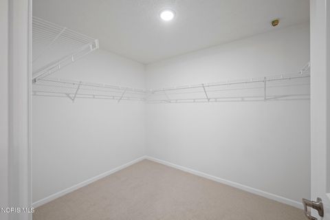 Tiny photo for 14529 Dexter Falls Road, Perrysburg, OH 43551 (MLS # 10009077)