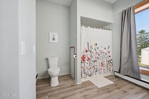 Tiny photo for 4481 County Road #S, Metamora, OH 43540 (MLS # 10005057)