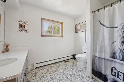 Tiny photo for 4481 County Road #S, Metamora, OH 43540 (MLS # 10005057)