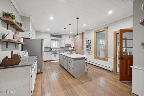 Tiny photo for 4481 County Road #S, Metamora, OH 43540 (MLS # 10005057)