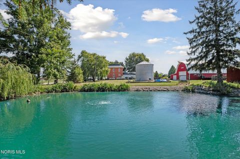 Tiny photo for 4481 County Road #S, Metamora, OH 43540 (MLS # 10005057)