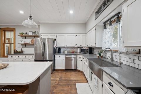 Tiny photo for 4481 County Road #S, Metamora, OH 43540 (MLS # 10005057)