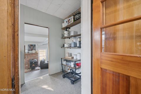 Tiny photo for 4481 County Road #S, Metamora, OH 43540 (MLS # 10005057)