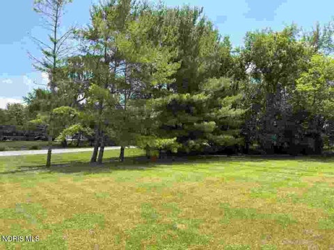 Tiny photo for 1460 Scott Road, Swanton, OH 43558 (MLS # 10010055)