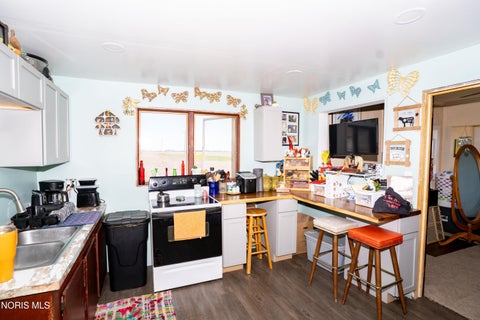 Tiny photo for 477 County Road 16, Holgate, OH 43527 (MLS # 10009138)