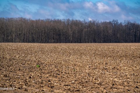 Tiny photo for 0 Us-20, Montpelier, OH 43543 (MLS # 10006348)