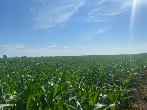 Tiny photo for 0 Us-20, Montpelier, OH 43543 (MLS # 10006348)