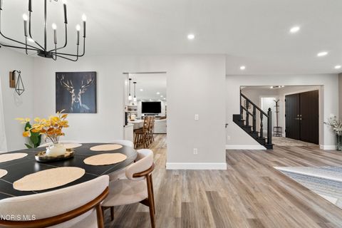 Tiny photo for 5246 Fredelia Drive, Toledo, OH 43623 (MLS # 10006080)